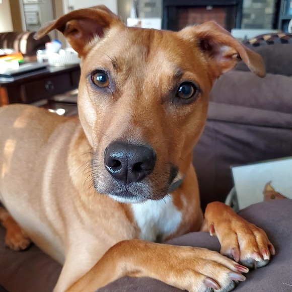 welcome to smackenβs closet ππ»ββοΈ - Picture 6 of 9